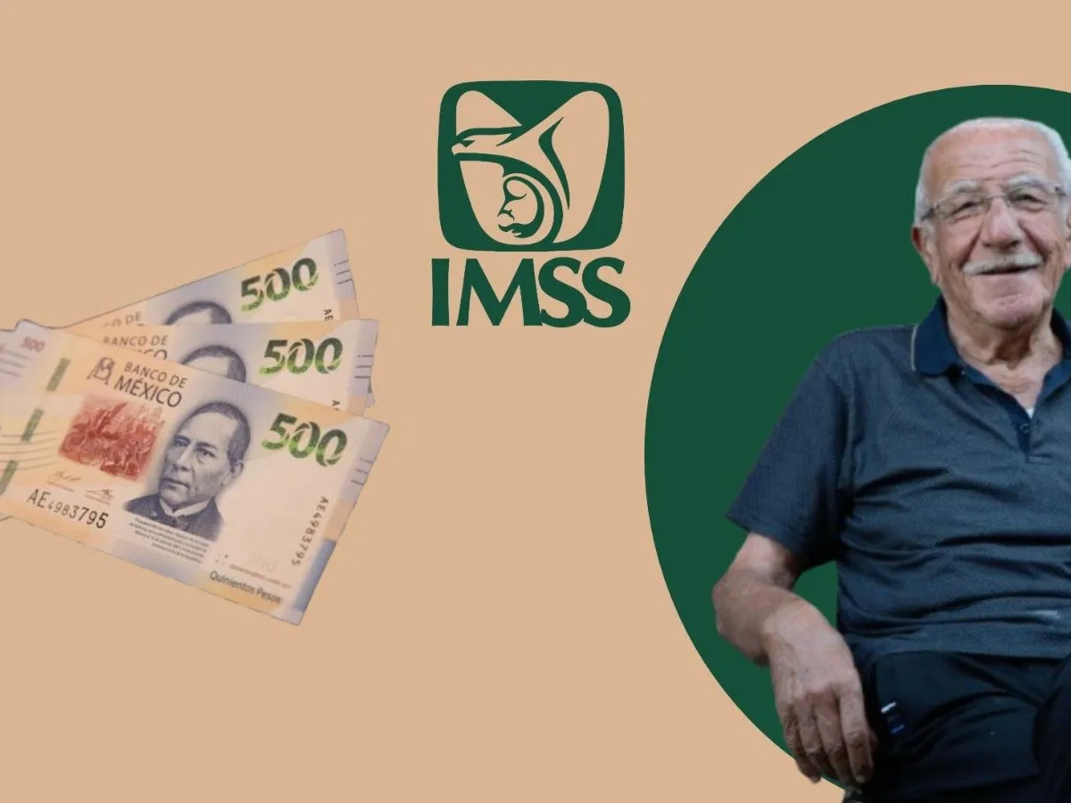 Pensión IMSS