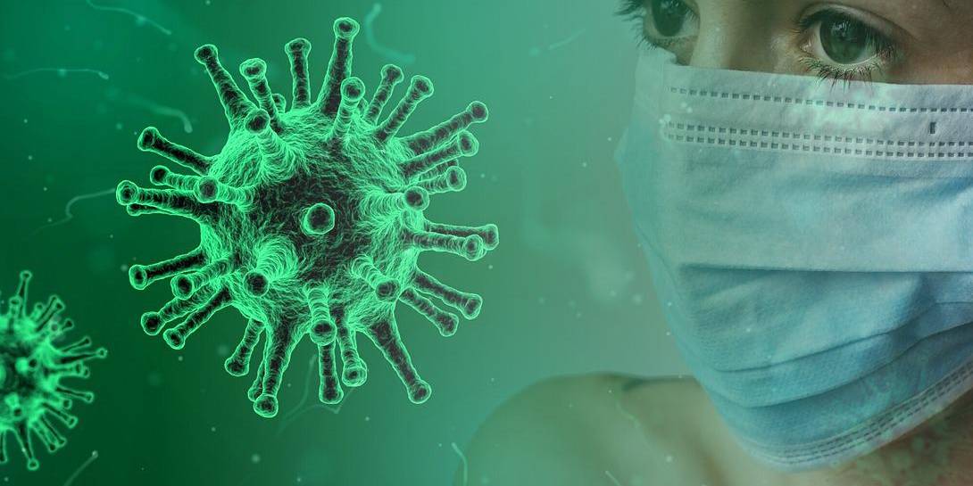 metapneumovirus humano