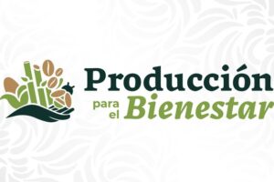 Producción para el Bienestar 2025, conoce los requisitos y apoyo disponible