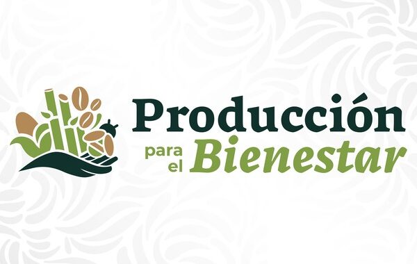 Producción para el Bienestar 2025, conoce los requisitos y apoyo disponible