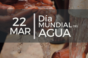 Día Mundial del Agua