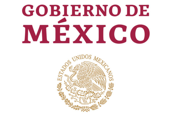 Participa canciller Juan Ramón de la Fuente en la sesión para elegir al nuevo Secretario General de la Organización de Estados Americanos