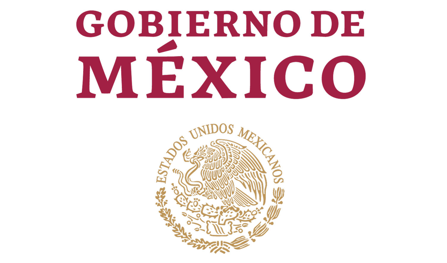 Participa canciller Juan Ramón de la Fuente en la sesión para elegir al nuevo Secretario General de la Organización de Estados Americanos