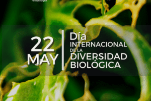 Diversidad