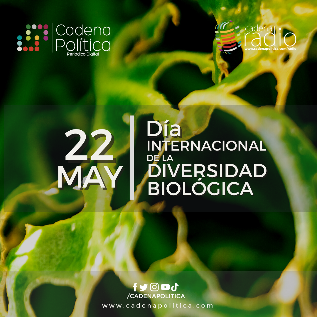 Diversidad