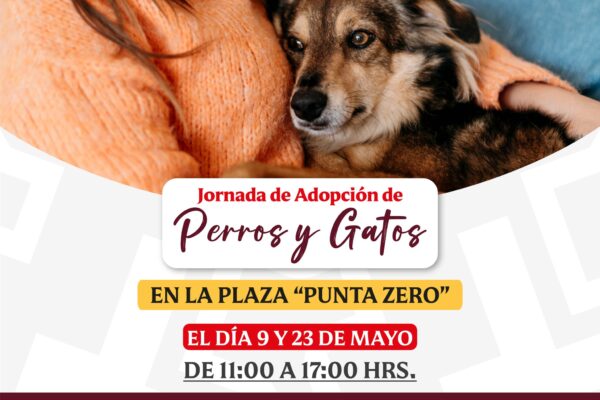 Gobierno de Calimaya promueve la adopción con jornadas para perros y gatos