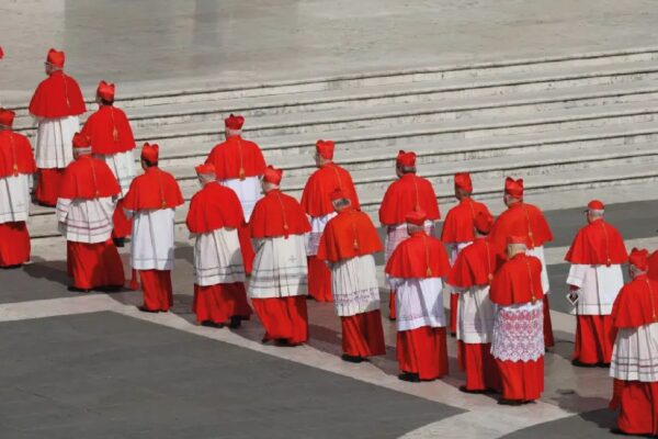 cardenales