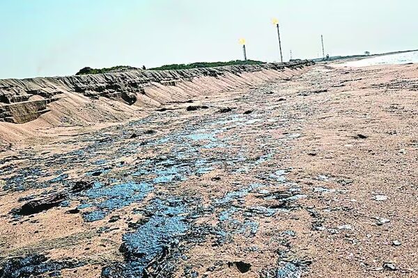 Derrame de hidrocarburo en Tabasco causa daños ambientales Derrame de hidrocarburo