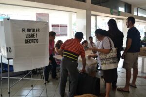 observador electoral