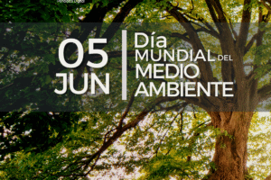 Ambiente