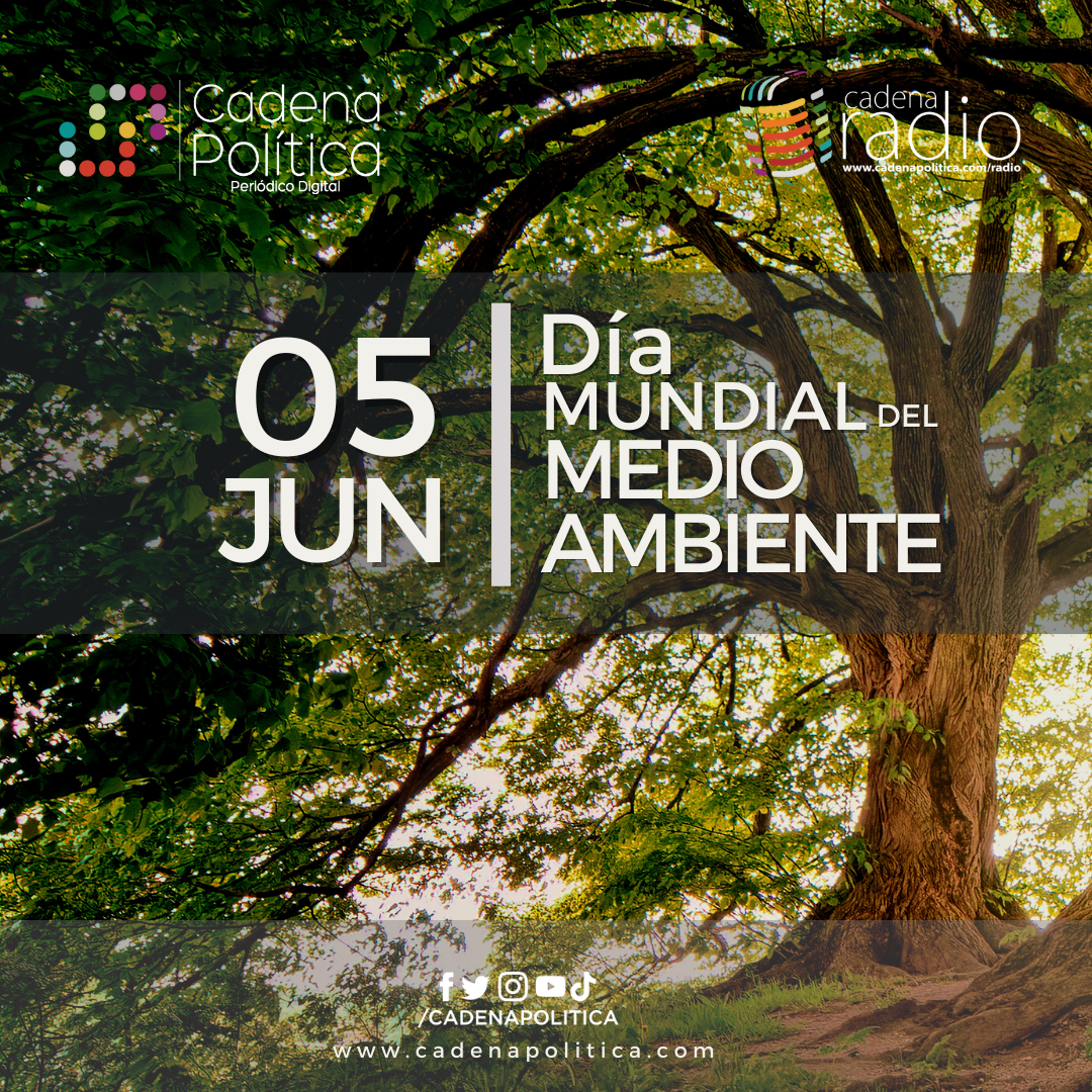 Ambiente