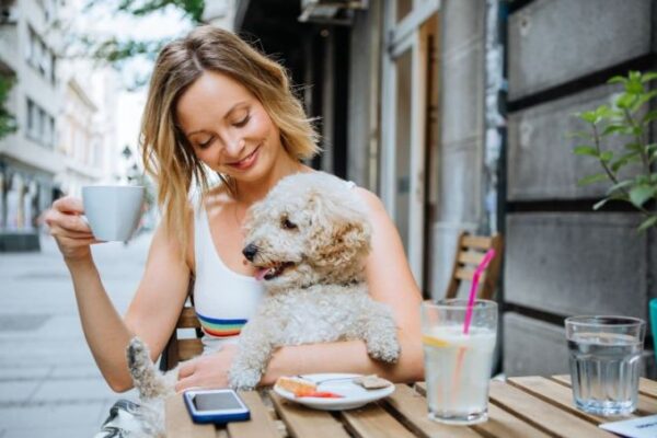 100 % pet friendly: alcaldía Benito Juárez apuesta por la inclusión