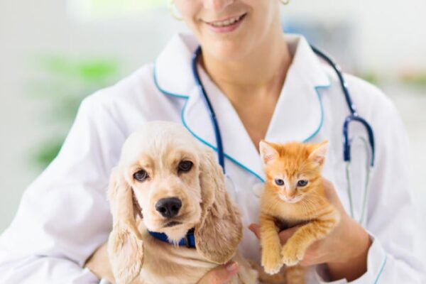 negocio veterinario farmacias mexicanas
