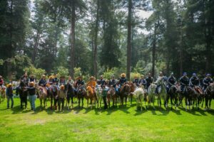 0a2d2412-33ac-4cfe-89ae-67d5f9e2c656