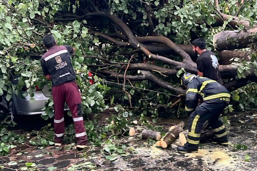 Tlalpan a la acción: Gabriela Osorio atiende emergencias
