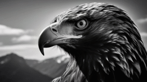 Captura de pantalla 2025-09-15 195720