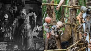 F7E09979-403A-4DBB-9B09-2377327E10CF