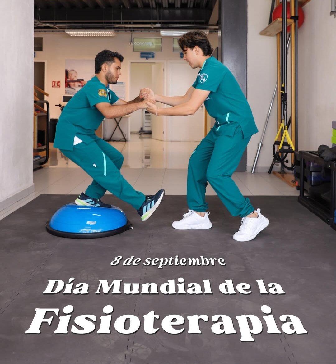 Día Mundial de la Fisioterapia