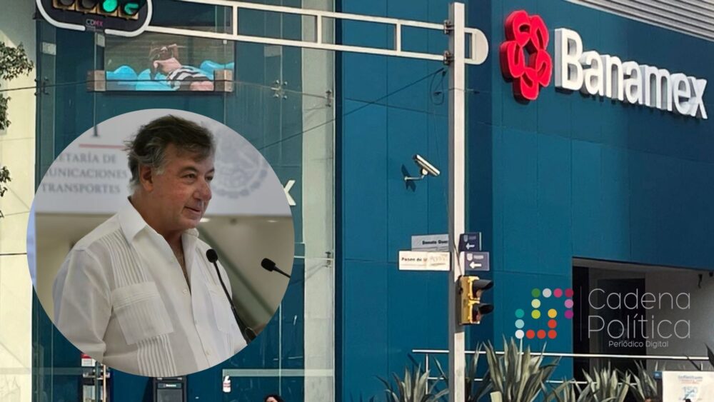 Fernando Chico Pardo Banamex 25 %