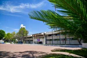 WhatsApp-Image-2025-08-29-at-15.10.17-1