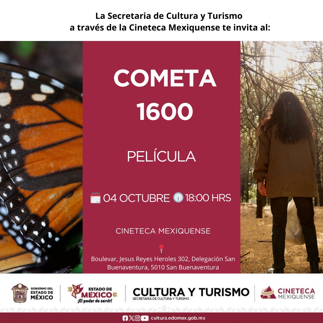 WhatsApp Image 2025-09-29 at 12.53.34