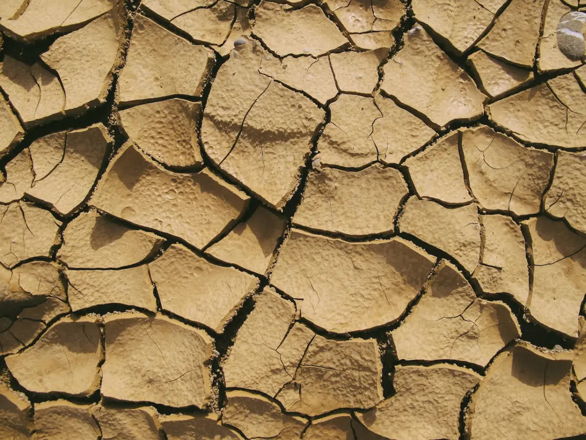Sequía persiste en México a pesar de lluvias