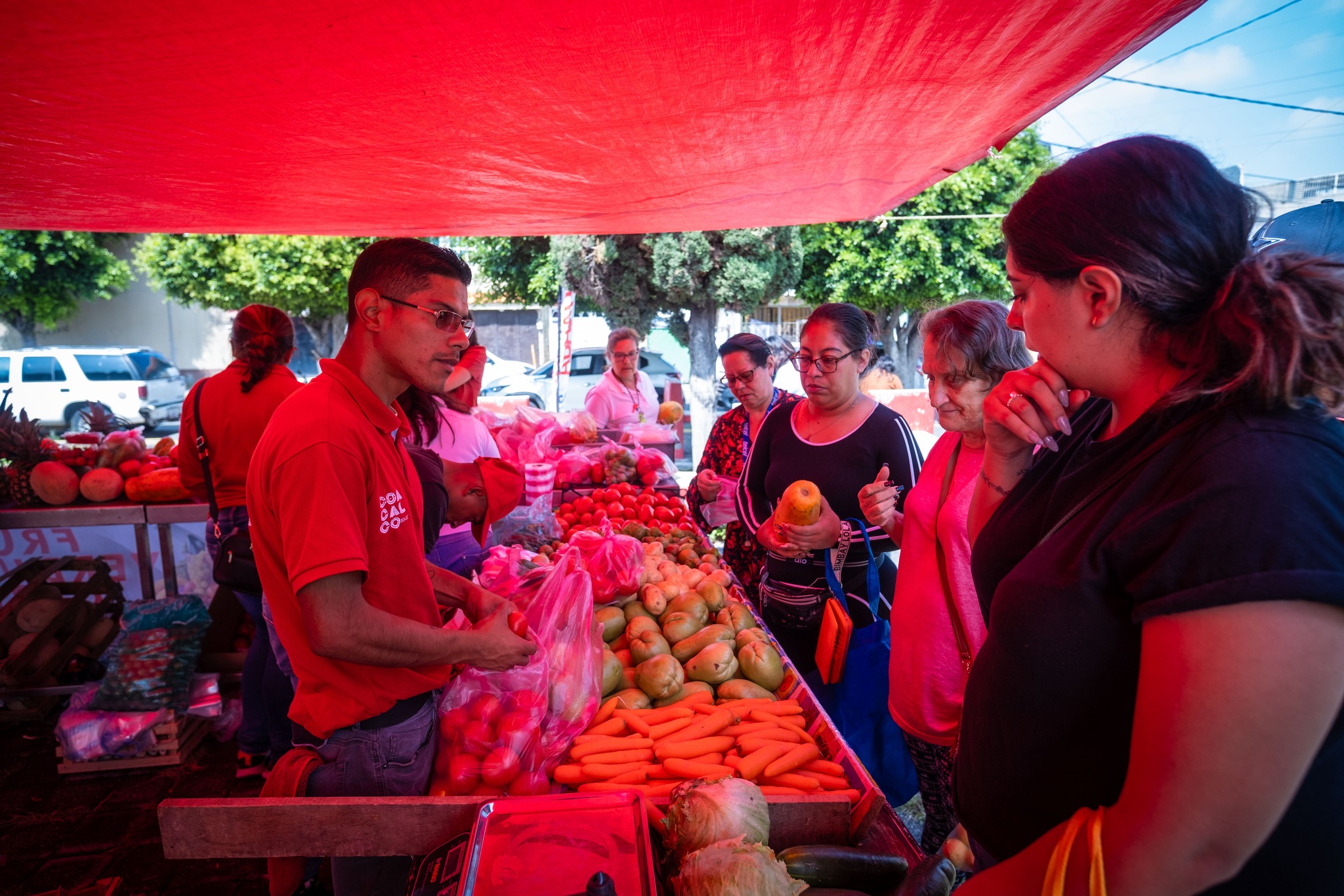 558834585_807946515113928_5540130519508192219_n