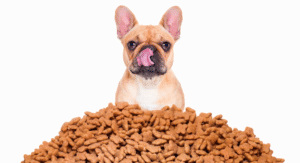 IVA alimentos mascotas 2025