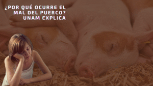 Portada Facebook Viajar Por El Mundo Minimalista Azul