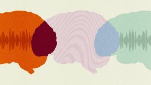 Neurociencia conectas fácilmente