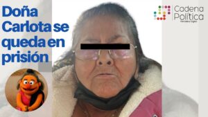 Grey Bold Minimalist Project Proposal Presentation