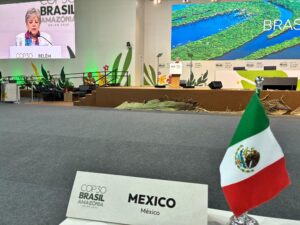 IMG_1381