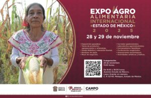 Imagen de WhatsApp 2025-11-04 a las 17.13.18_1d03f84e