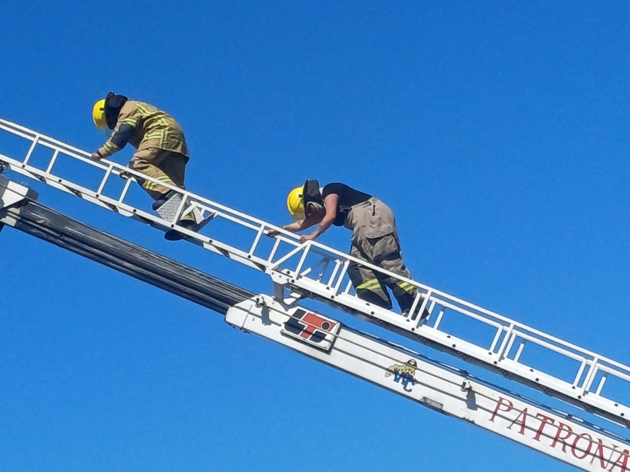 Imagen de WhatsApp 2025-11-12 a las 15.05.54_cc47852a