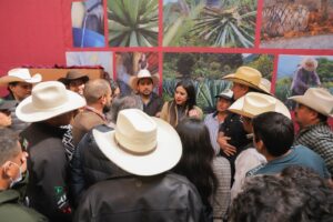 Imagen de WhatsApp 2025-11-13 a las 11.26.29_4ca43881