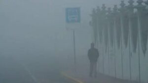 frio