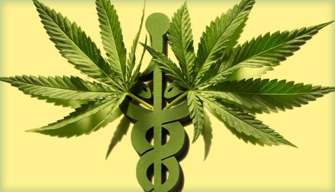Trump reclasifica cannabis