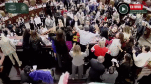 pelea de diputadas