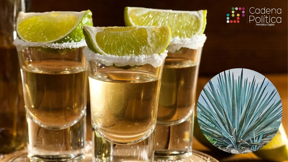 Senado Día Nacional Tequila