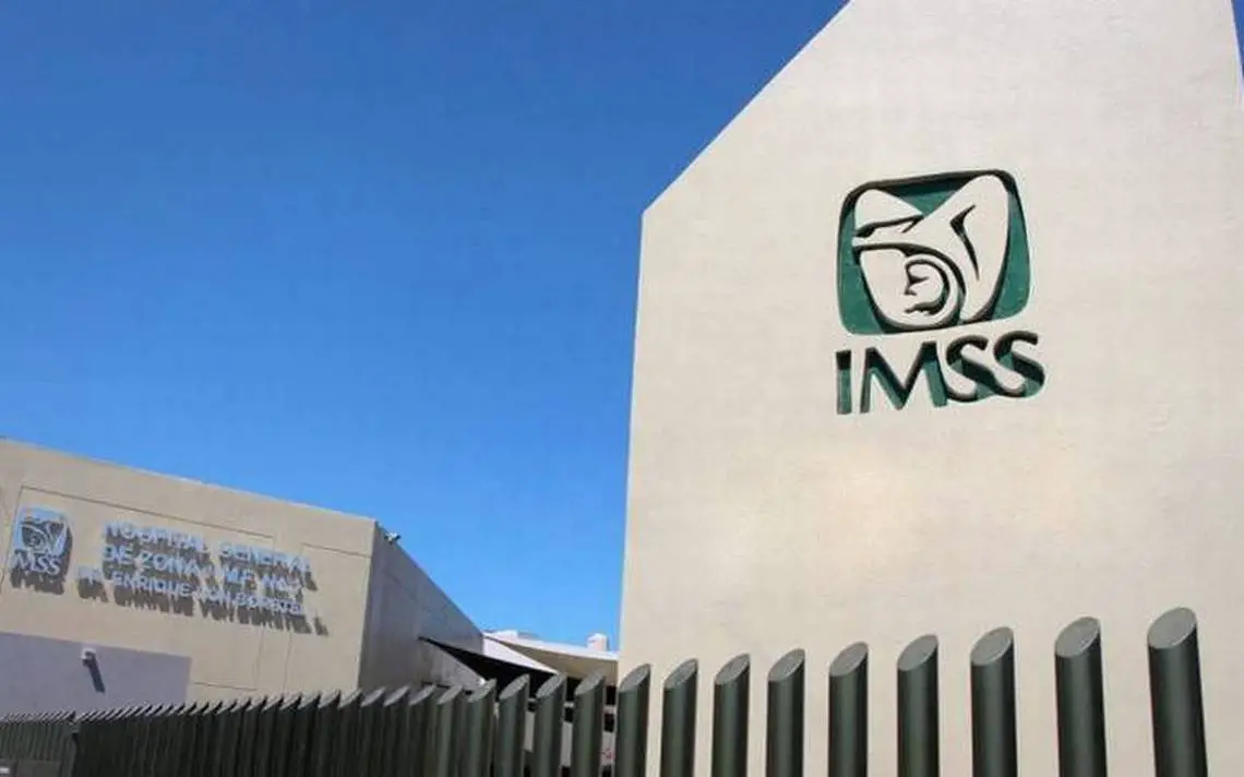 IMSS atención primera infancia