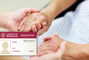 descarga