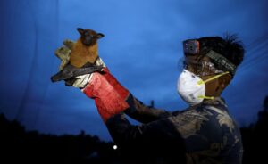 confirman cinco casos del virus Nipah en Bengala