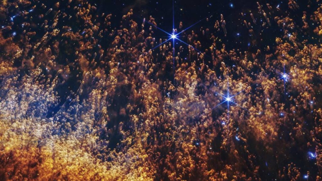 WhatsApp Image 2026-01-27 at 4.33.10 PM