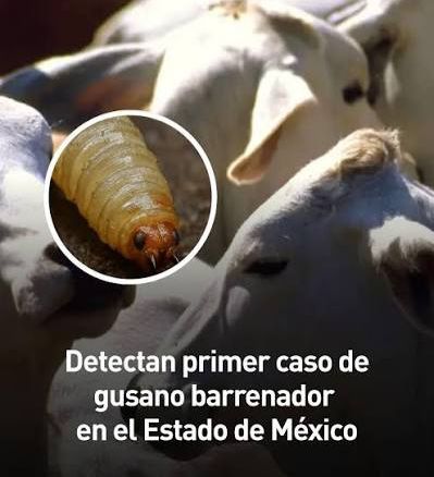 aae5468a-1df3-4138-8a56-653d1099fb27