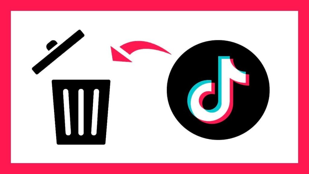 Ola desinstalación TikTok EU