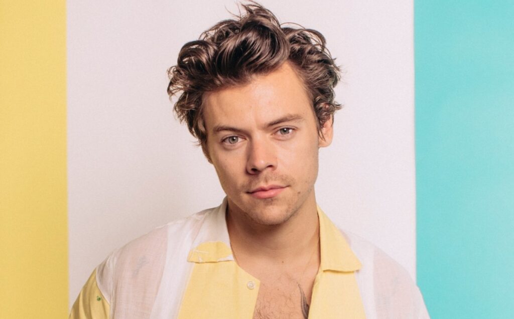 harry-styles-tenia-una-banda