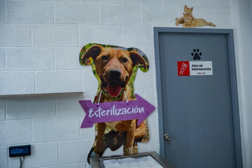 WhatsApp Image 2026-02-13 at 1.27.02 PM