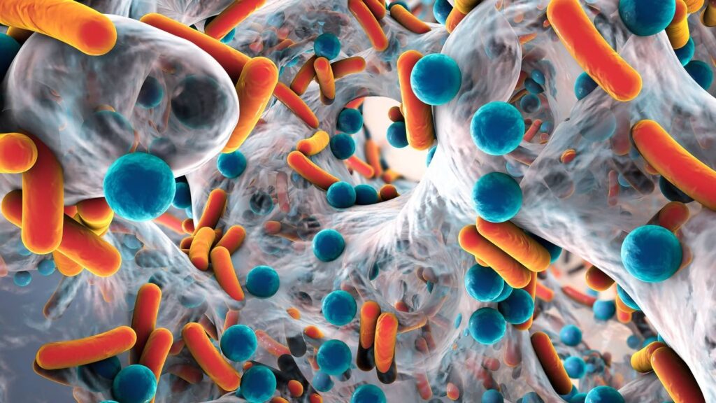 enfrenta UNAM resistencia superbacterias