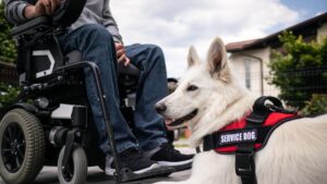 reglas en EE.UU. discriminación