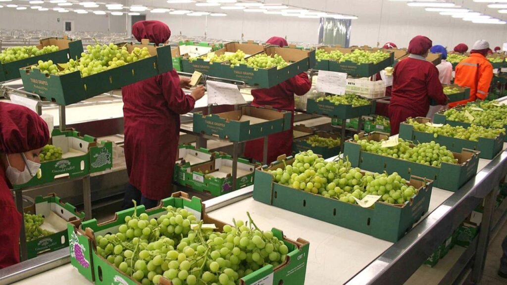 Agroexportación